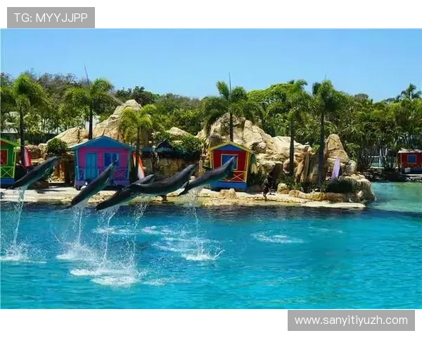 海星游戏社区：加入海星粉丝互动平台分享游戏心得与获取独家福利