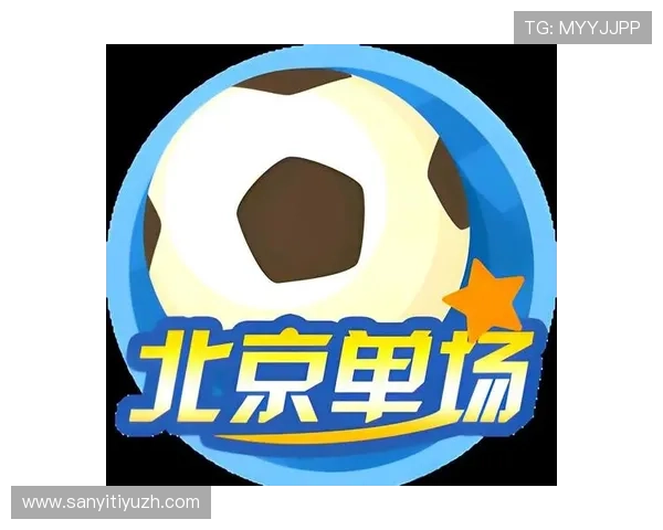 体彩世界杯投注指南详解如何合理规划投注策略提升中奖几率 体彩世界杯投注指南详解如何合理规划投注策略提升中奖几率